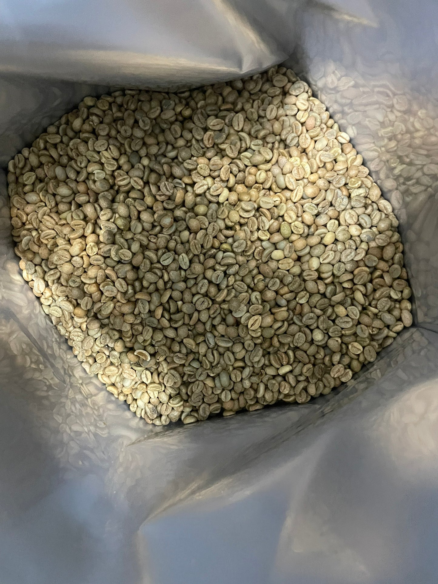 Raw Robusta Coffee Bean - 1 kilo